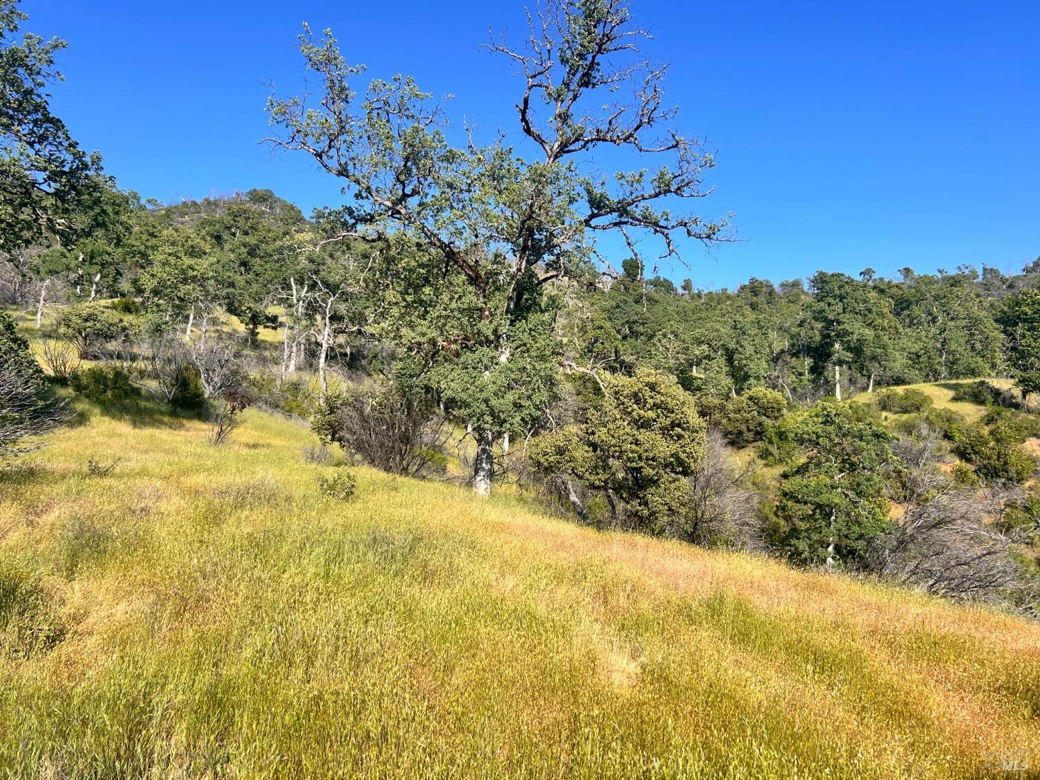 10504 Bachelor Valley Road Upper Lake CA 95493