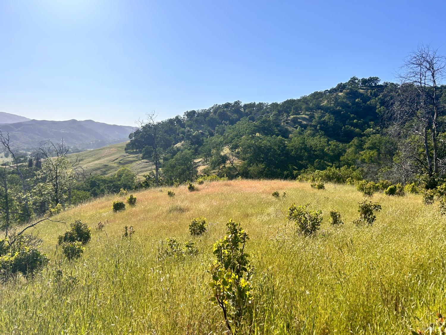 10504 Bachelor Valley Road Upper Lake CA 95493