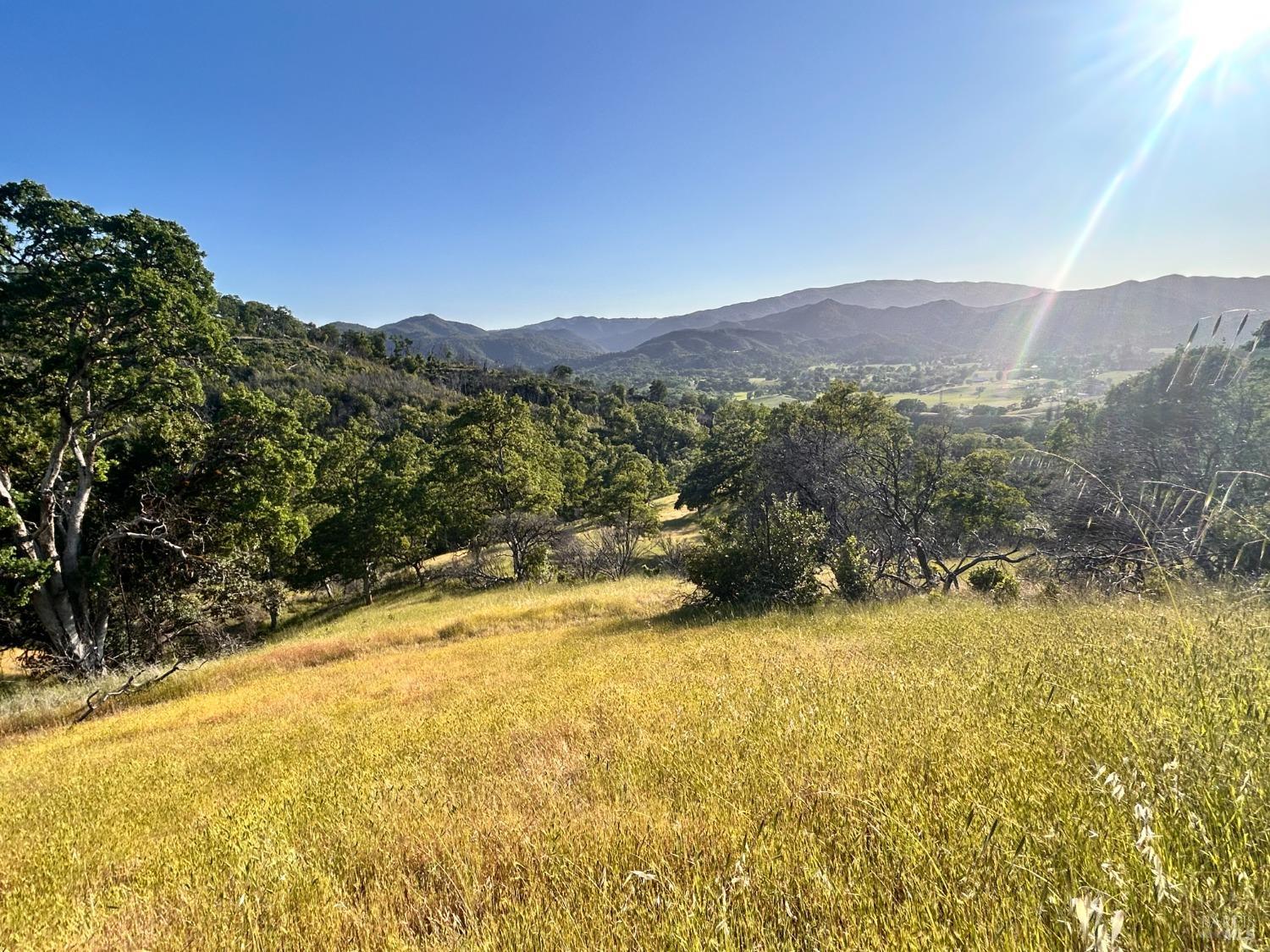 10504 Bachelor Valley Road Upper Lake CA 95493