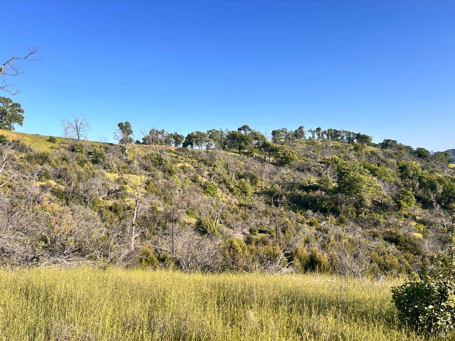 10504 Bachelor Valley Road Upper Lake CA 95493
