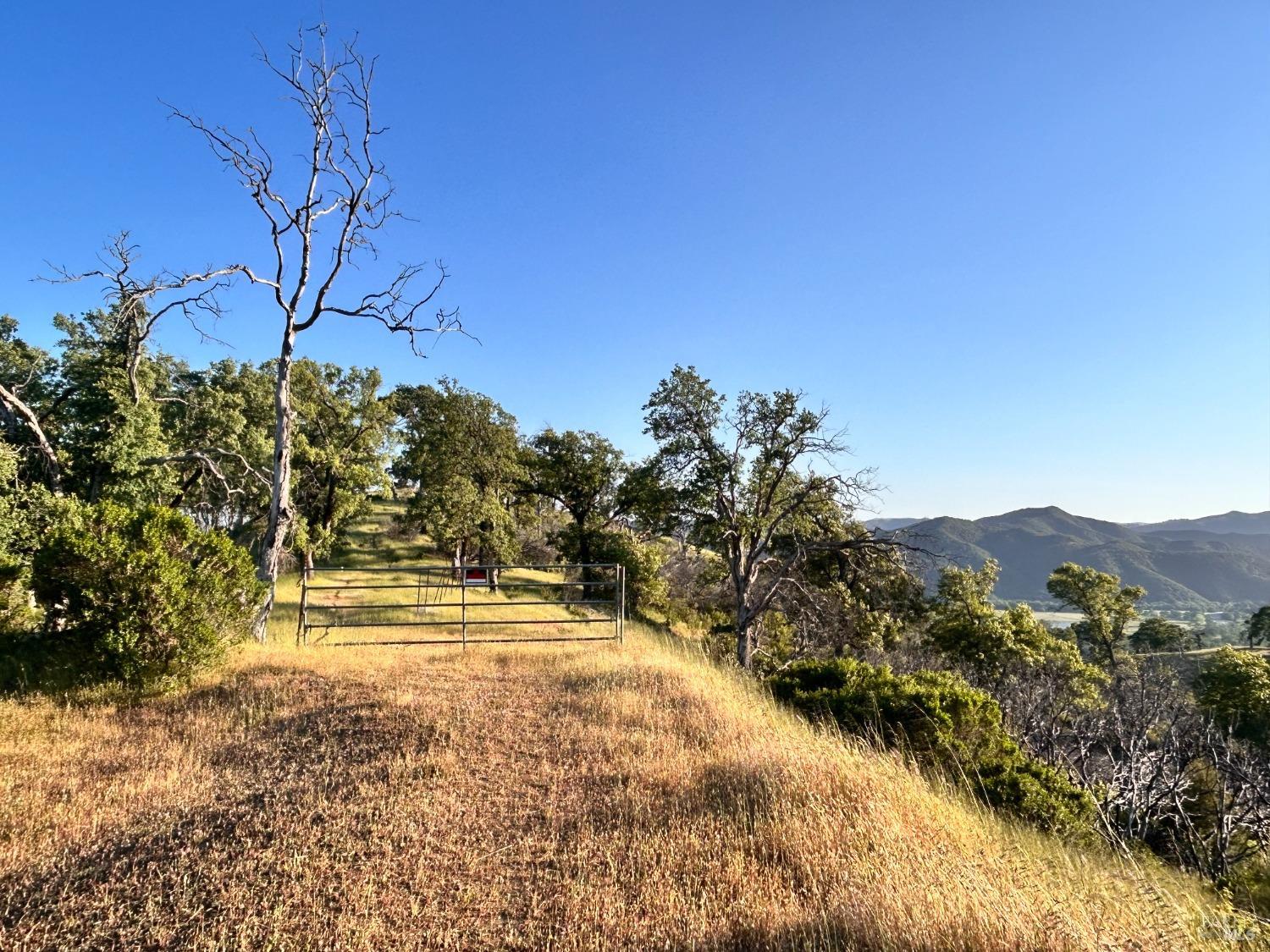 10504 Bachelor Valley Road Upper Lake CA 95493