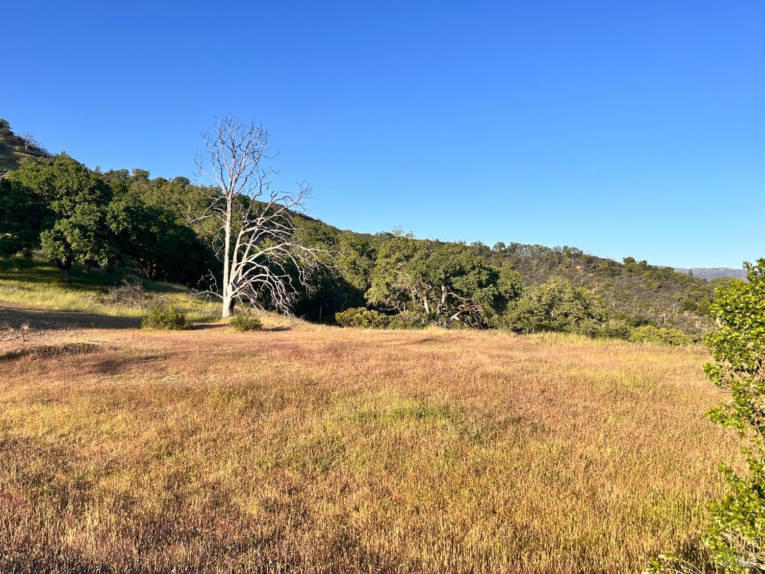 10504 Bachelor Valley Road Upper Lake CA 95493