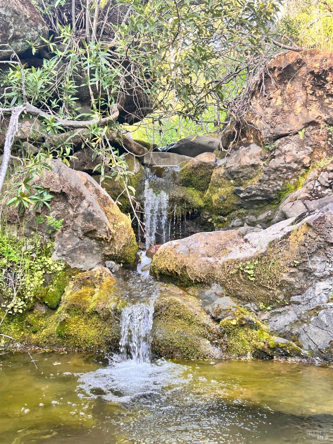 10504 Bachelor Valley Road Upper Lake CA 95493