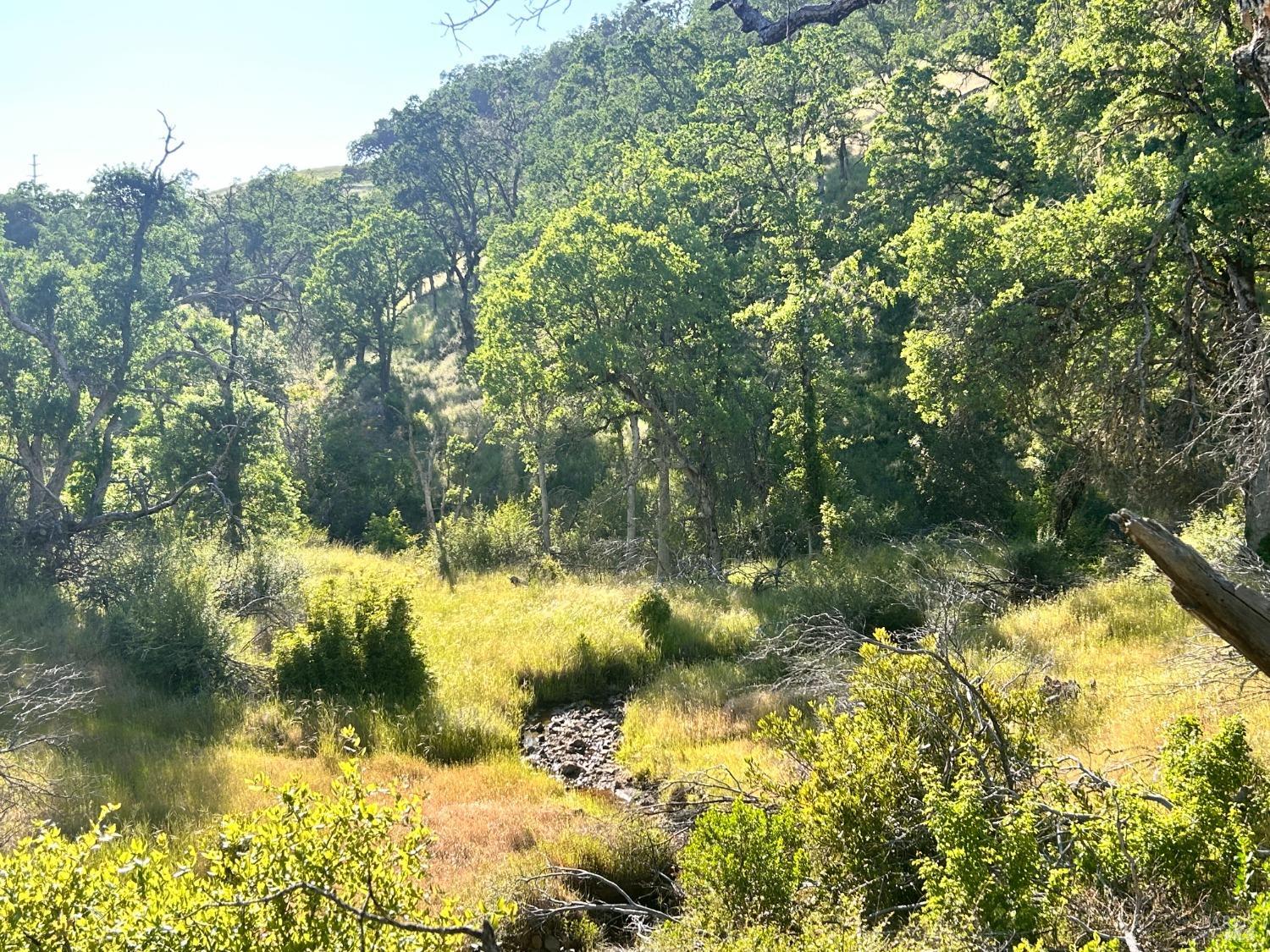 10504 Bachelor Valley Road Upper Lake CA 95493