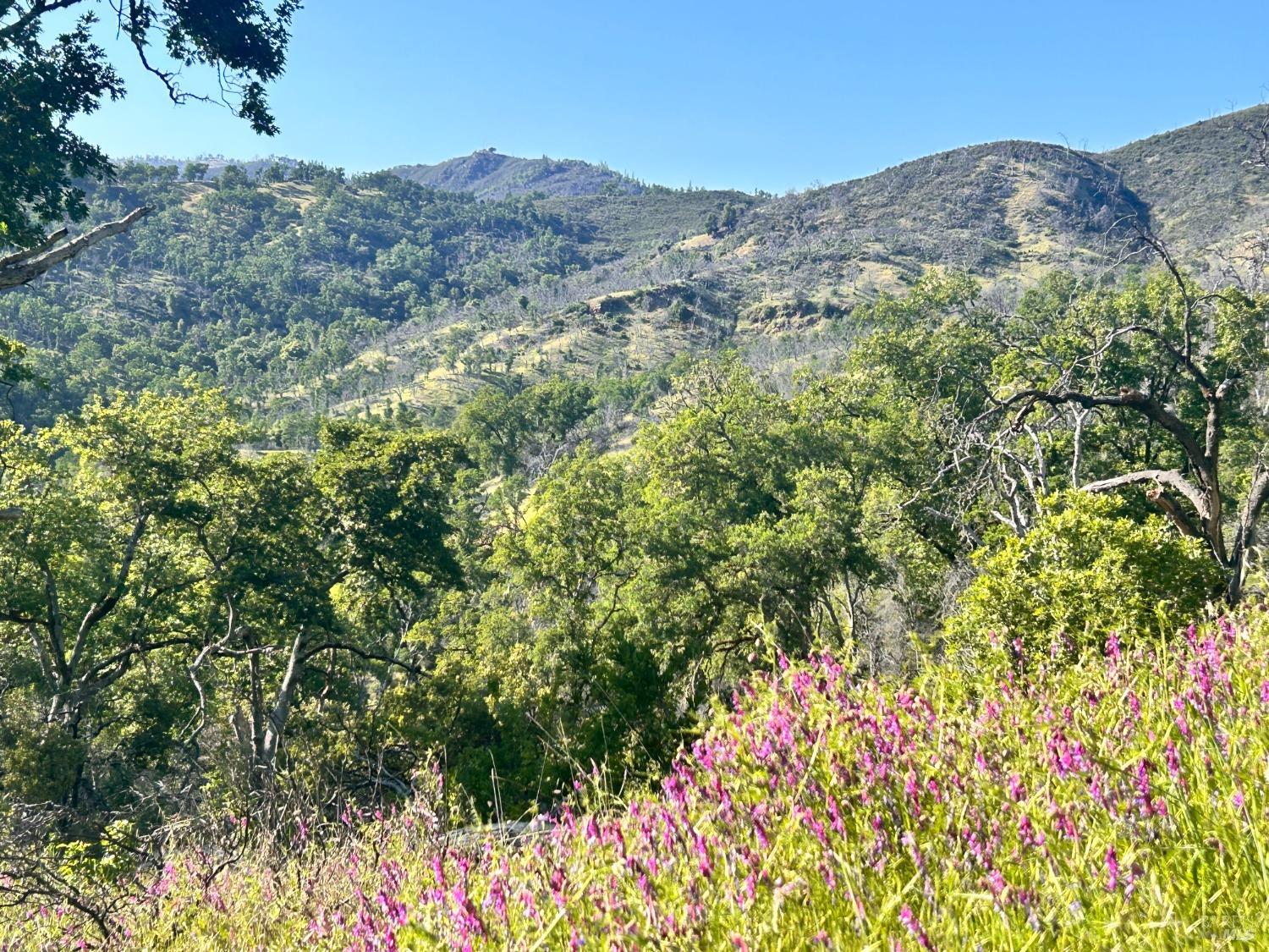 10504 Bachelor Valley Road Upper Lake CA 95493