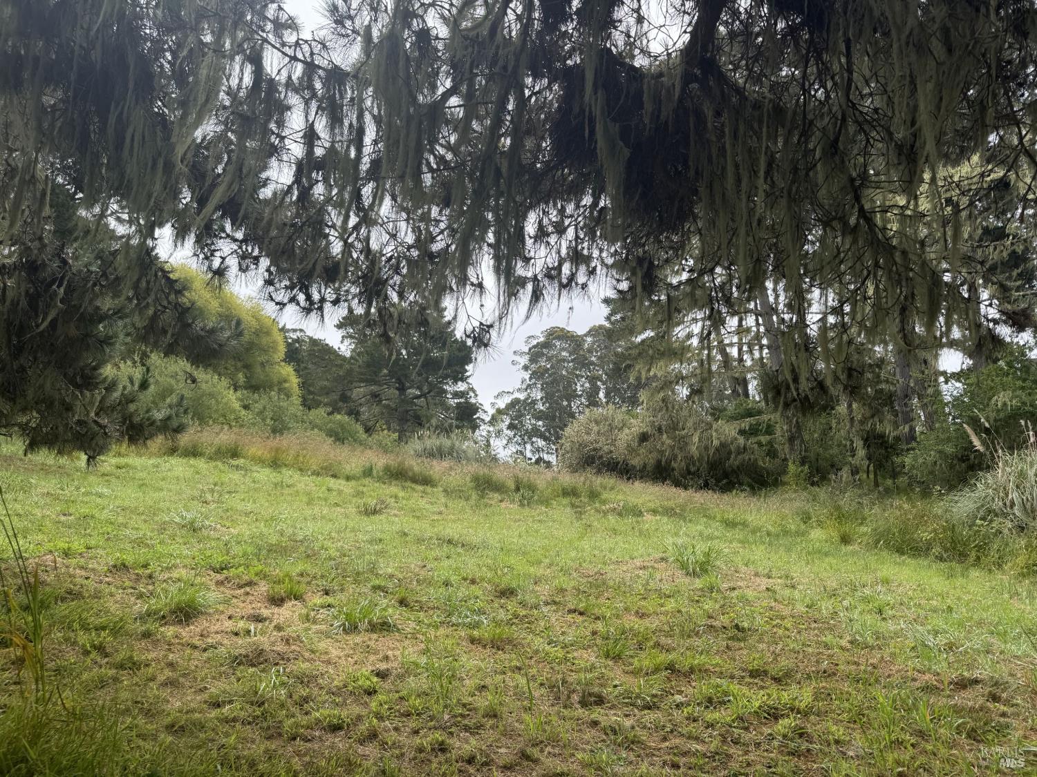 241-A Alder Road Bolinas CA 94924