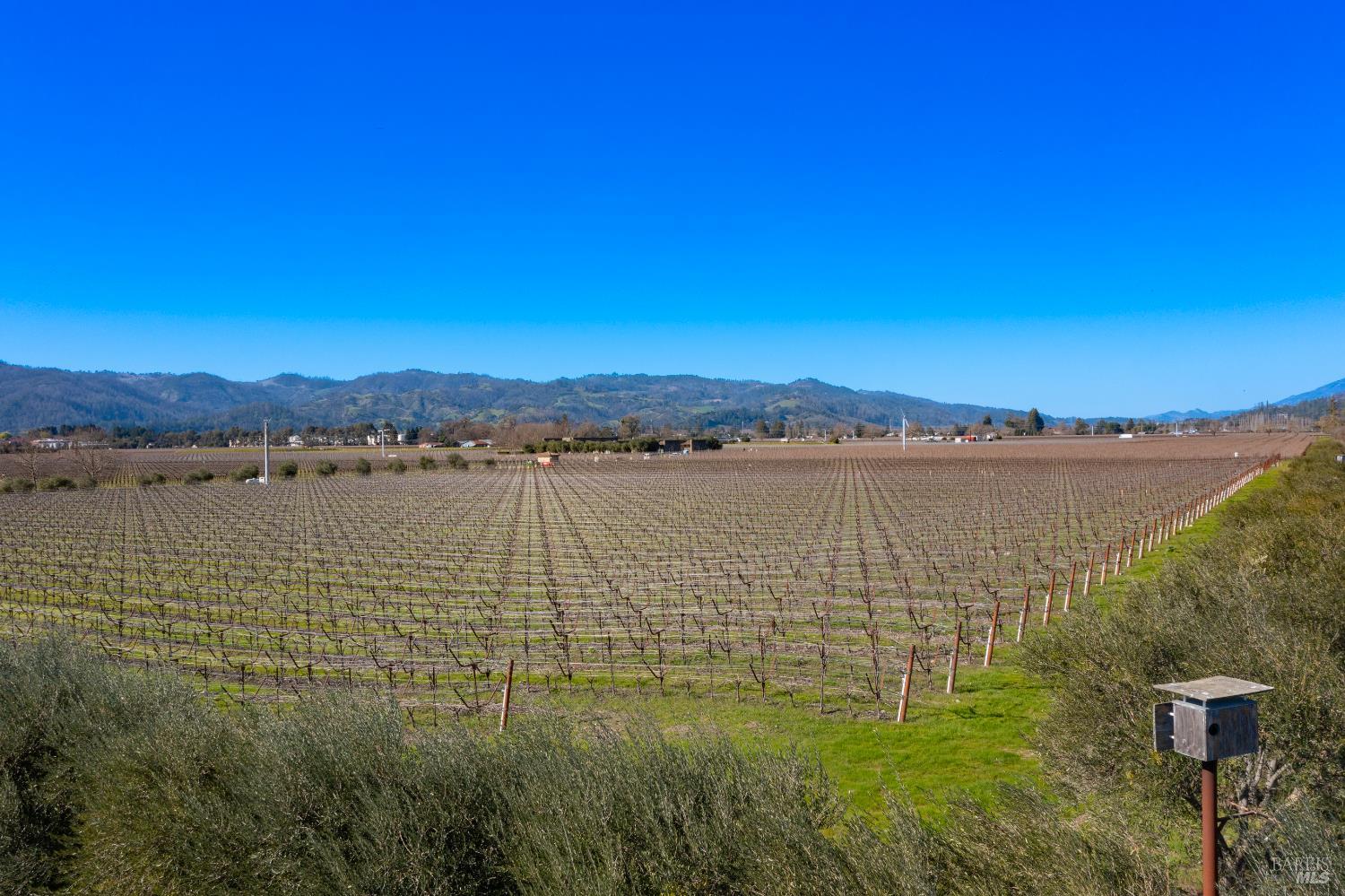 218 Zinfandel Lane St. Helena CA 94574