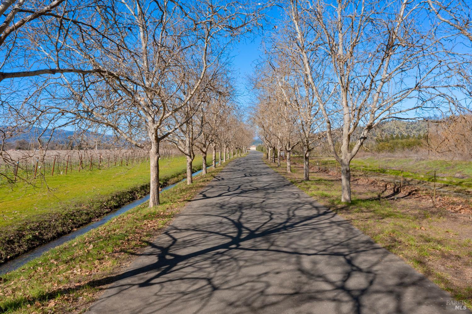 218 Zinfandel Lane St. Helena CA 94574