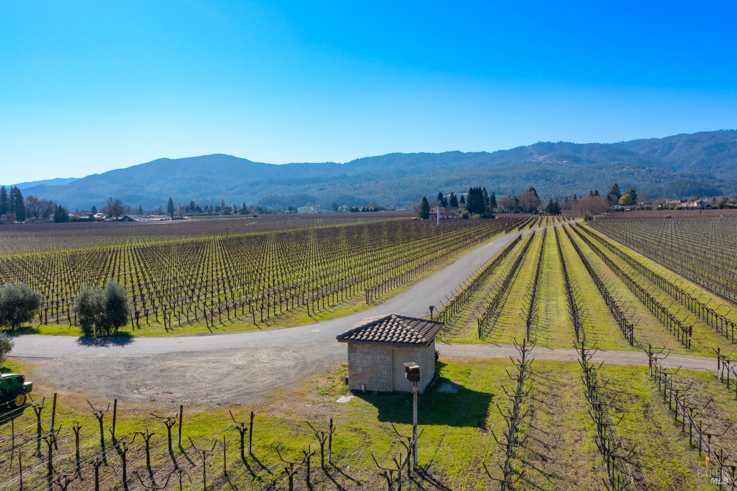 218 Zinfandel Lane St. Helena CA 94574