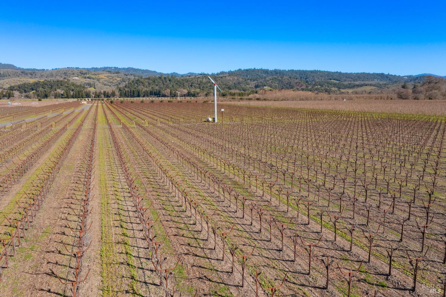 218 Zinfandel Lane St. Helena CA 94574