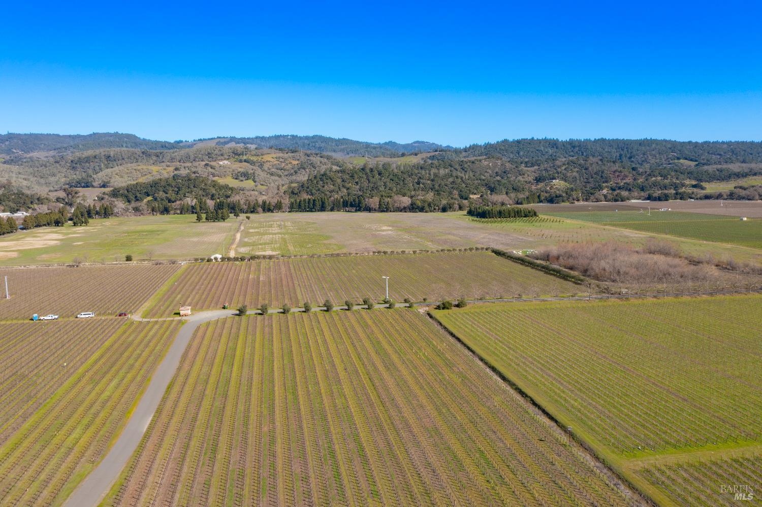 218 Zinfandel Lane St. Helena CA 94574