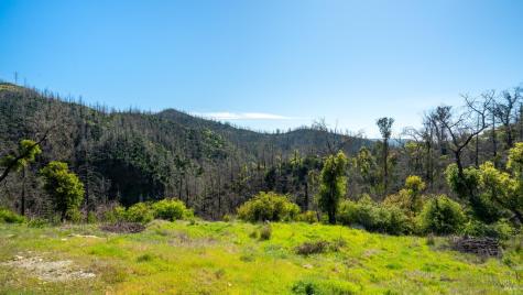 1470 Los Alamos Road Santa Rosa CA 95409