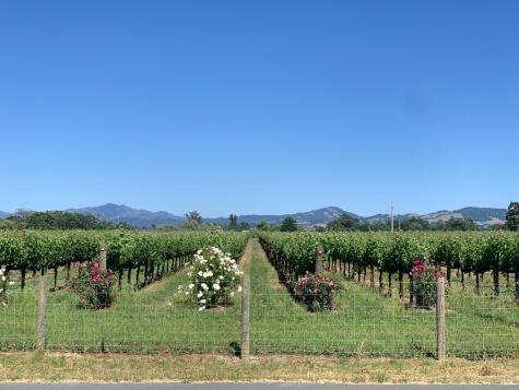 Santa Rosa CA 94501