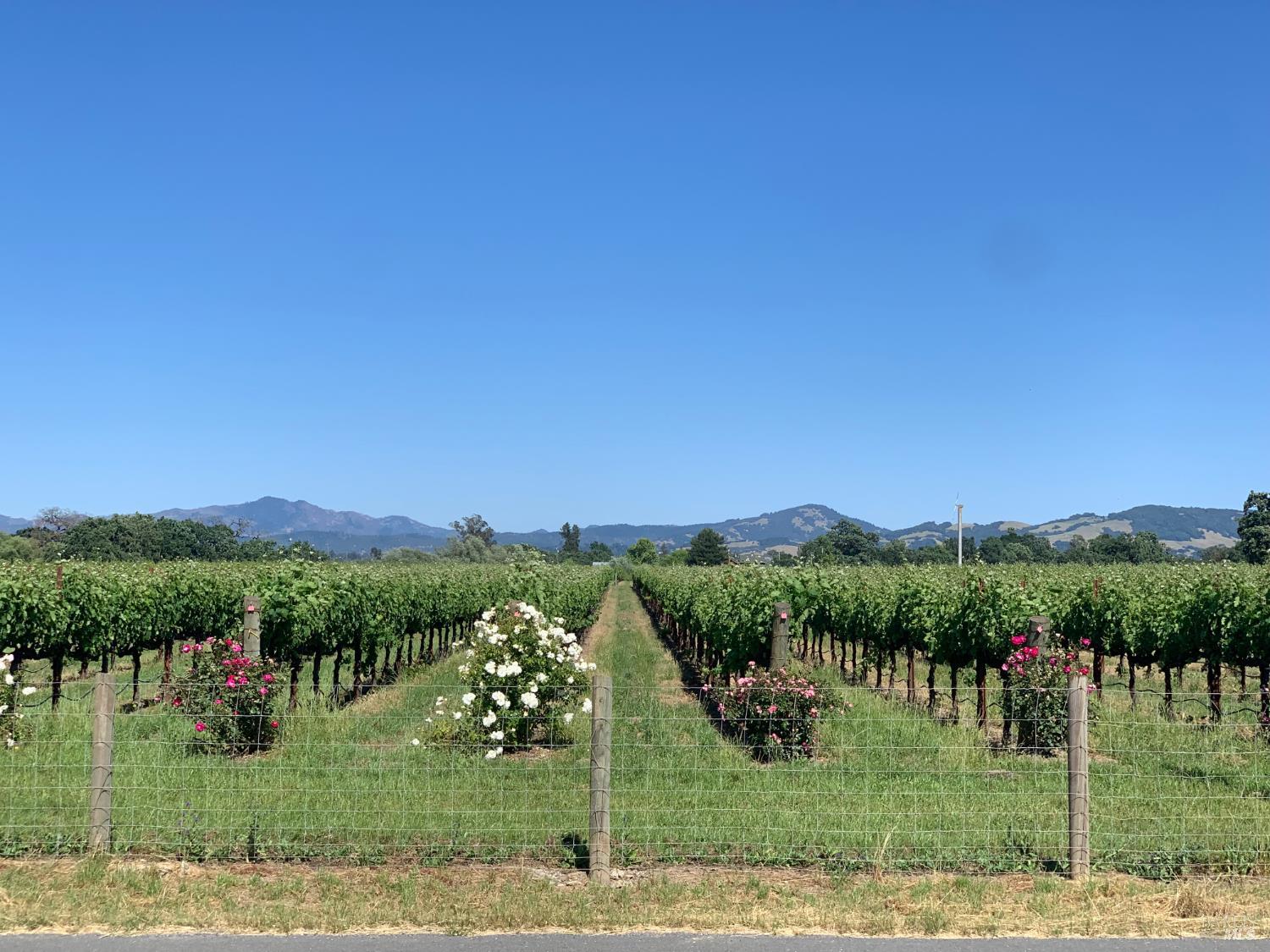 693 Irwin Lane Santa Rosa CA 95401