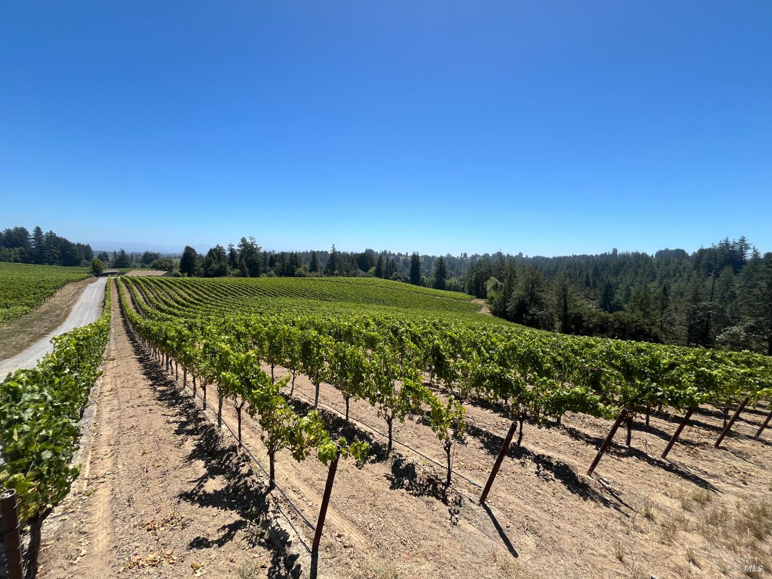 11480 Graton Road Sebastopol CA 95472