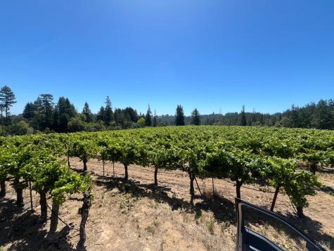 11480 Graton Road Sebastopol CA 95472