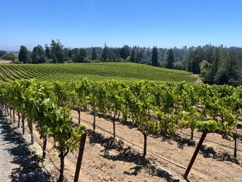 11480 Graton Road Sebastopol CA 95472