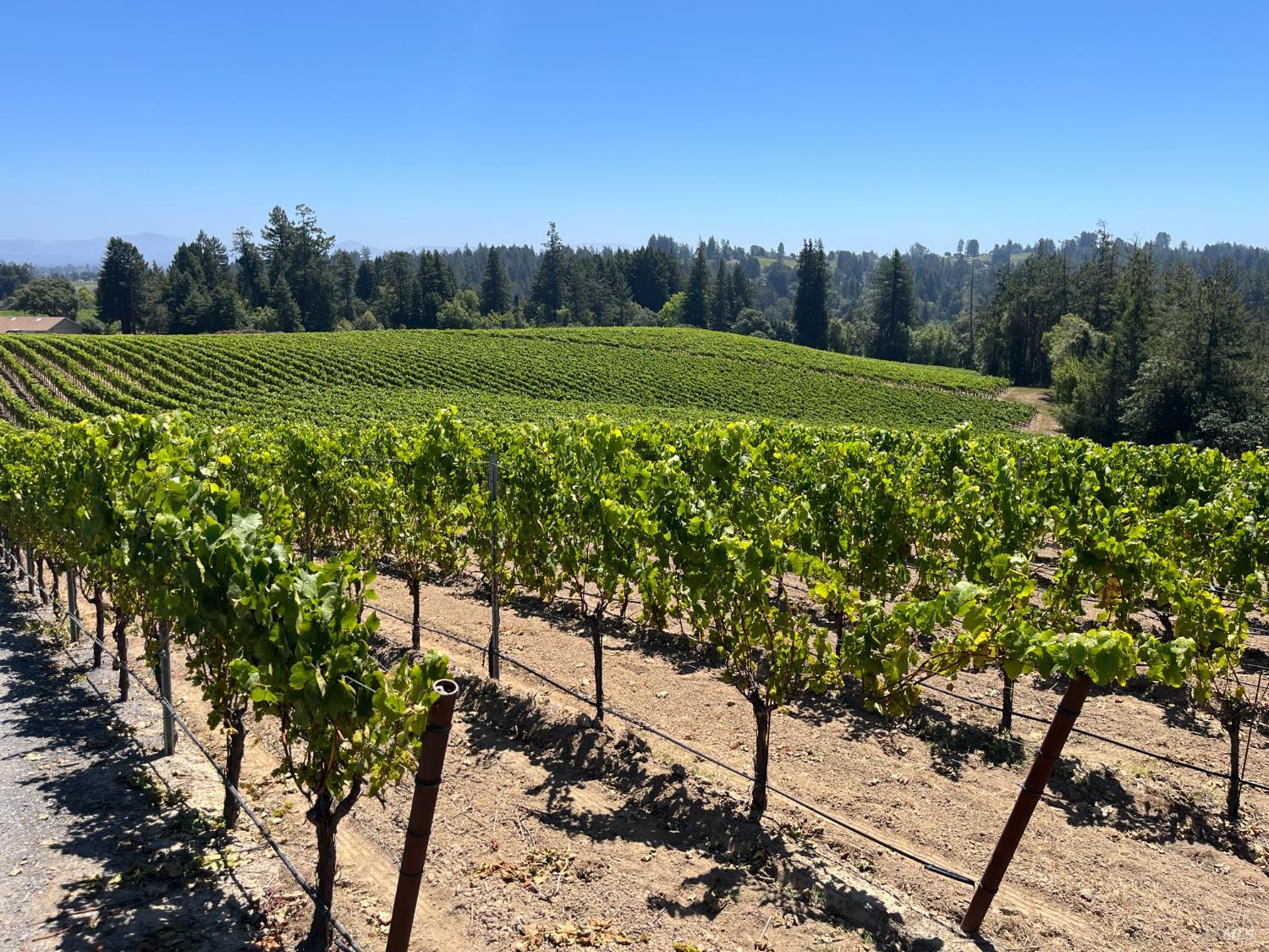 11480 Graton Road Sebastopol CA 95472