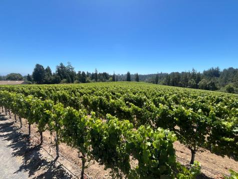 11480 Graton Road Sebastopol CA 95472