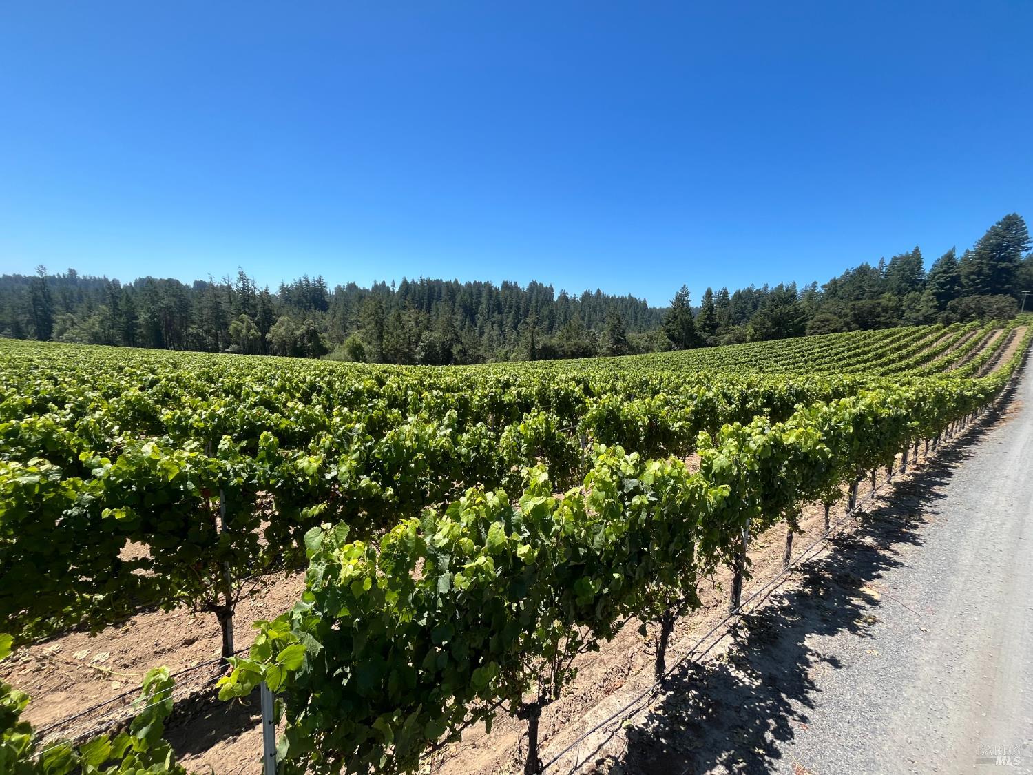 11480 Graton Road Sebastopol CA 95472
