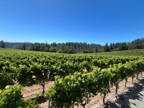 11480 Graton Road Sebastopol CA 95472