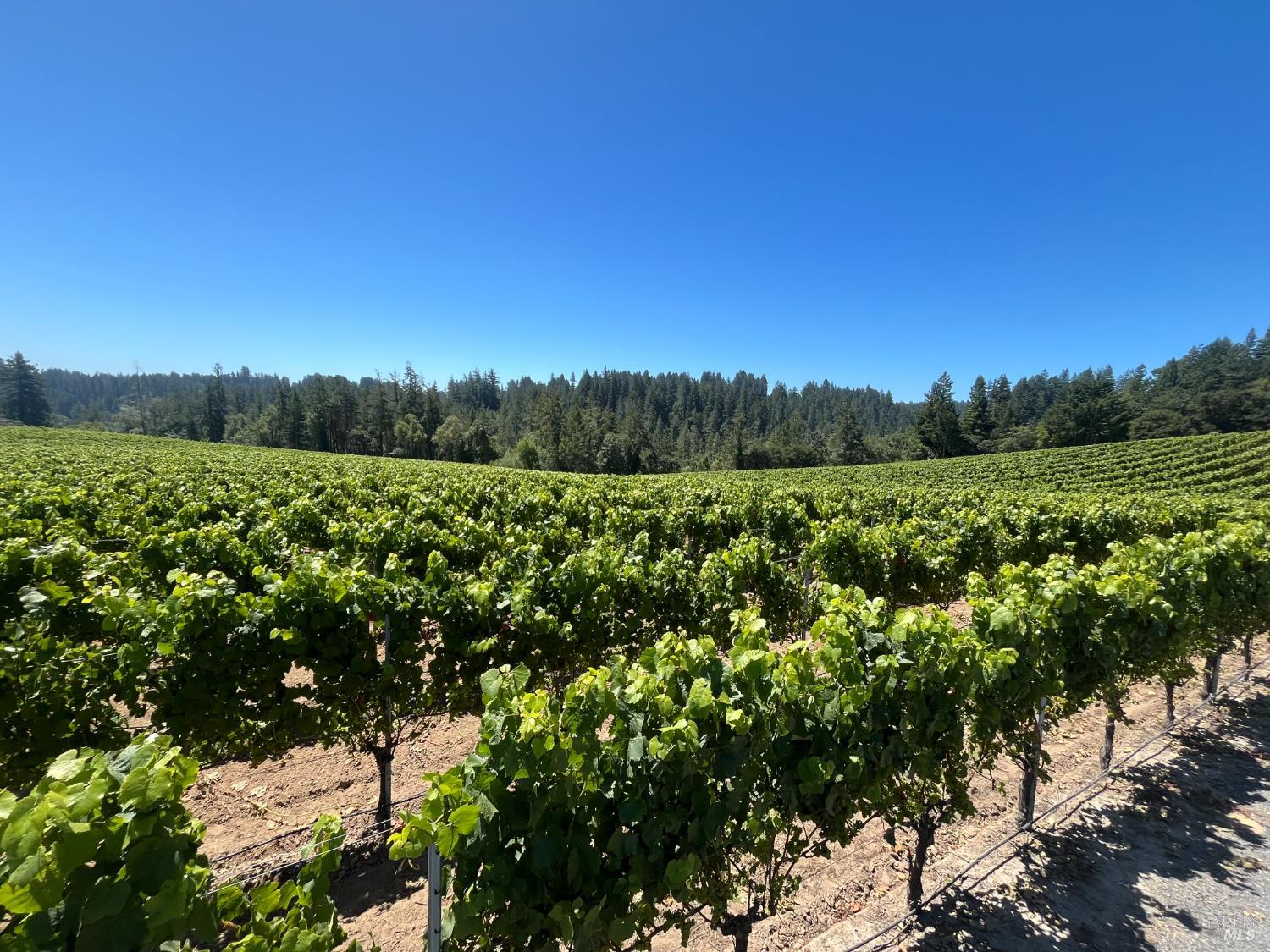 11480 Graton Road Sebastopol CA 95472