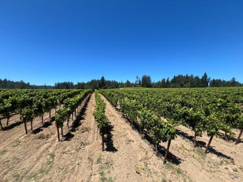 11480 Graton Road Sebastopol CA 95472