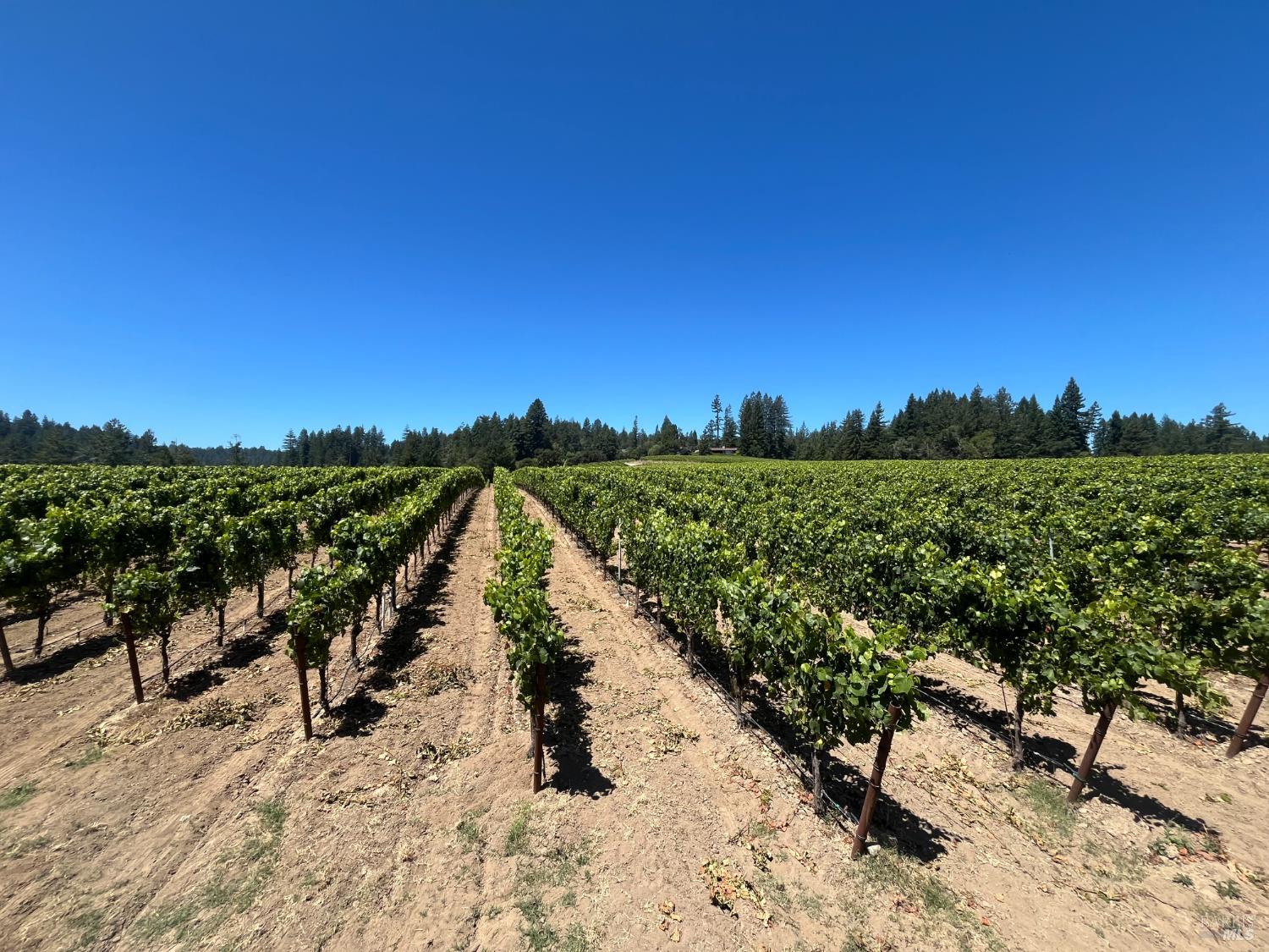 11480 Graton Road Sebastopol CA 95472