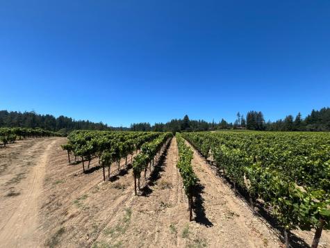 11480 Graton Road Sebastopol CA 95472