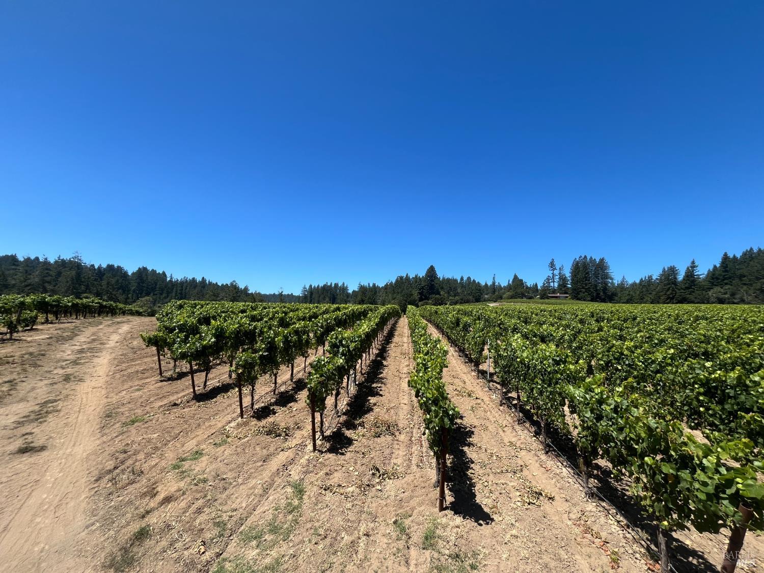 11480 Graton Road Sebastopol CA 95472