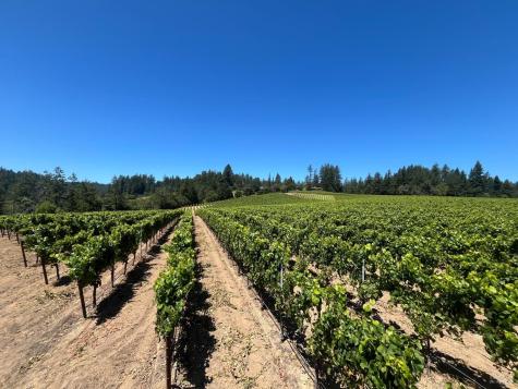 11480 Graton Road Sebastopol CA 95472