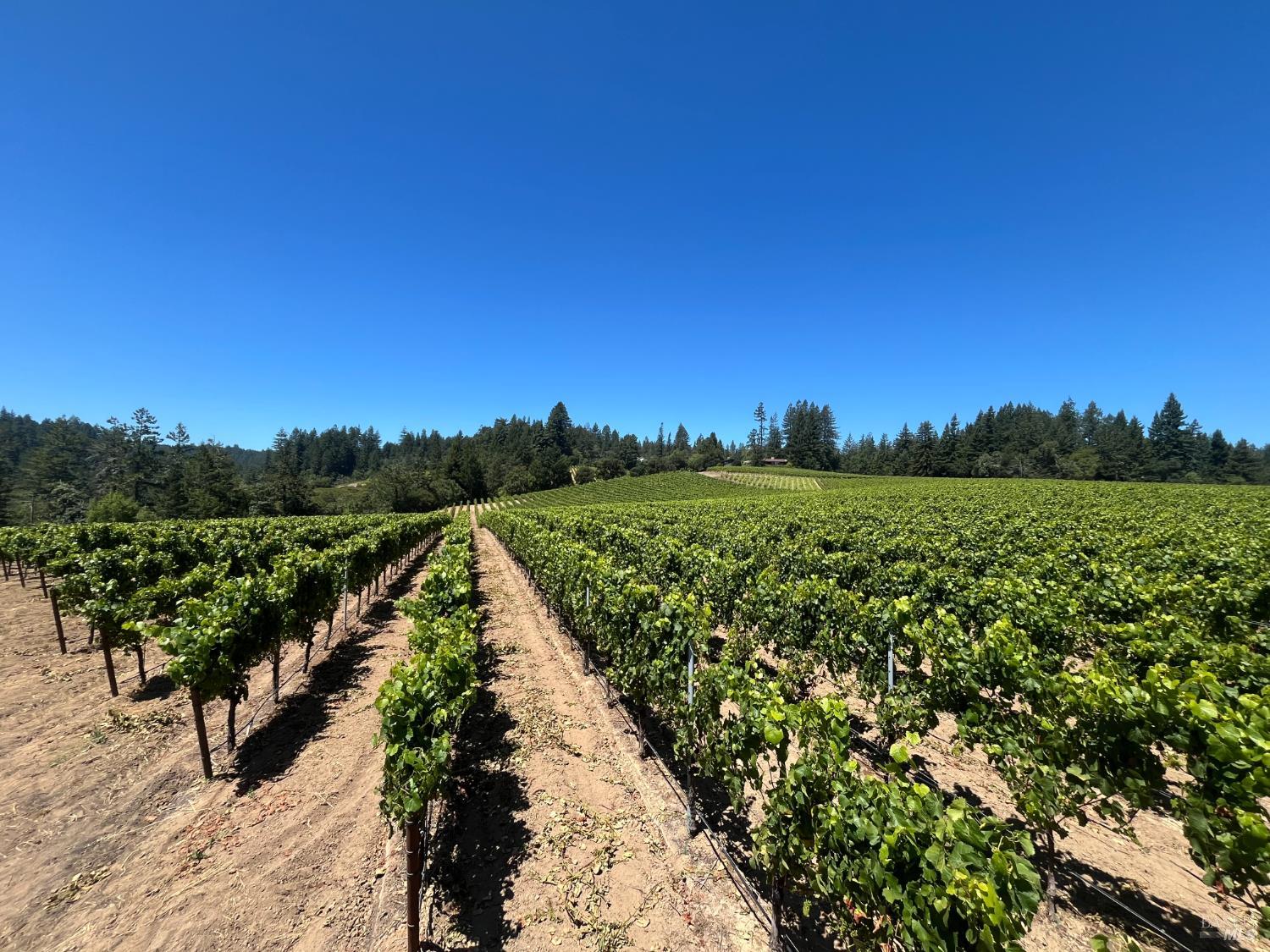 11480 Graton Road Sebastopol CA 95472