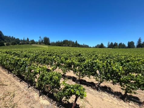 11480 Graton Road Sebastopol CA 95472