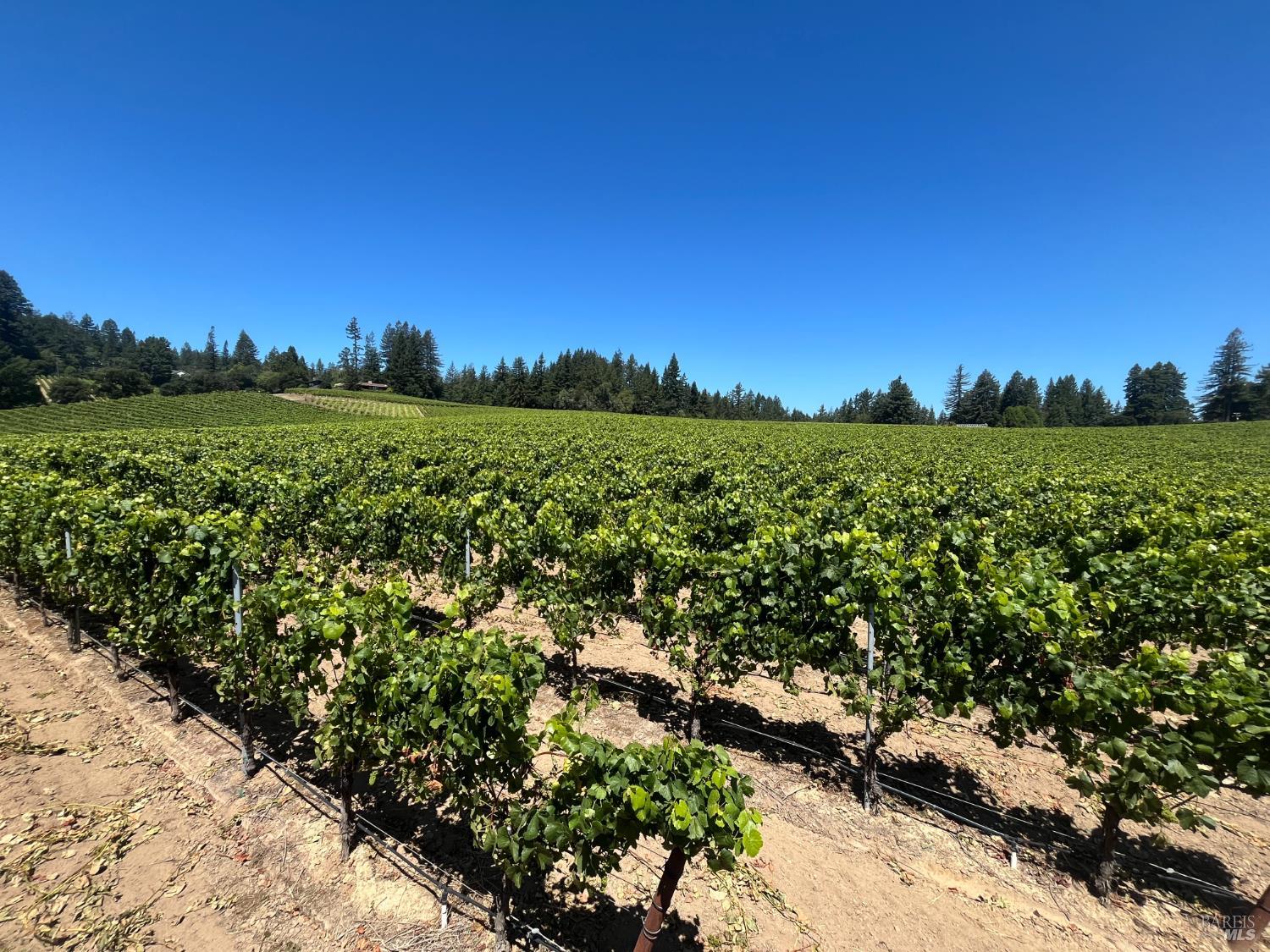 11480 Graton Road Sebastopol CA 95472