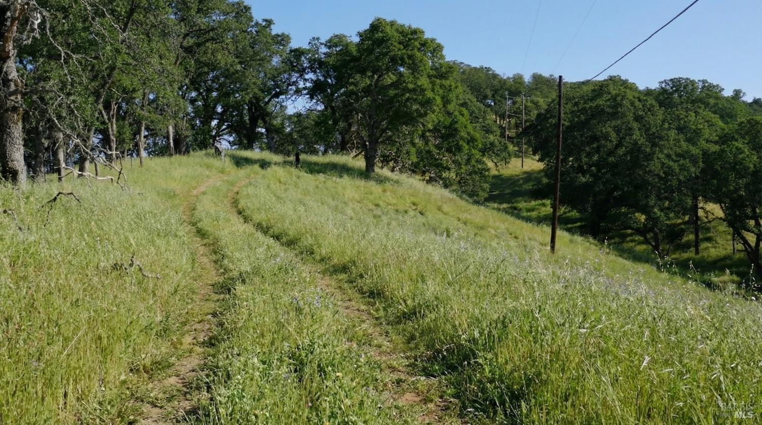 20 Longhorn Ridge Road Napa CA 94558