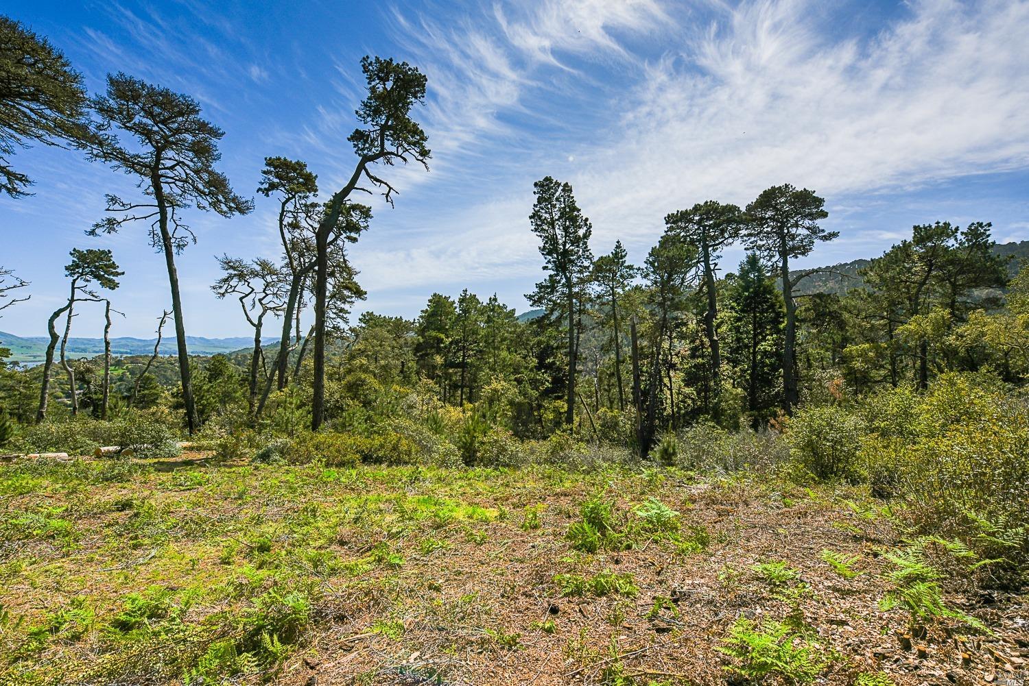 531 Via De La Vista Inverness CA 94937