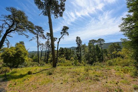 531 Via De La Vista Inverness CA 94937