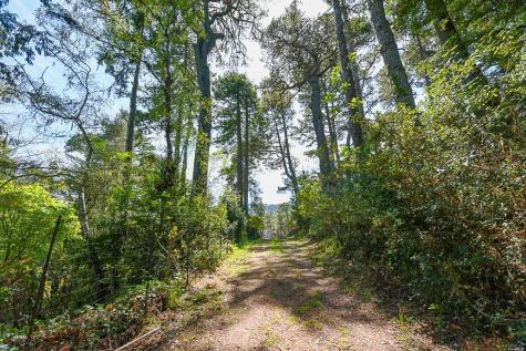 531 Via De La Vista Inverness CA 94937