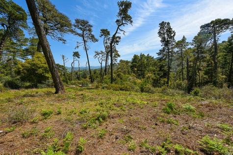 531 Via De La Vista Inverness CA 94937