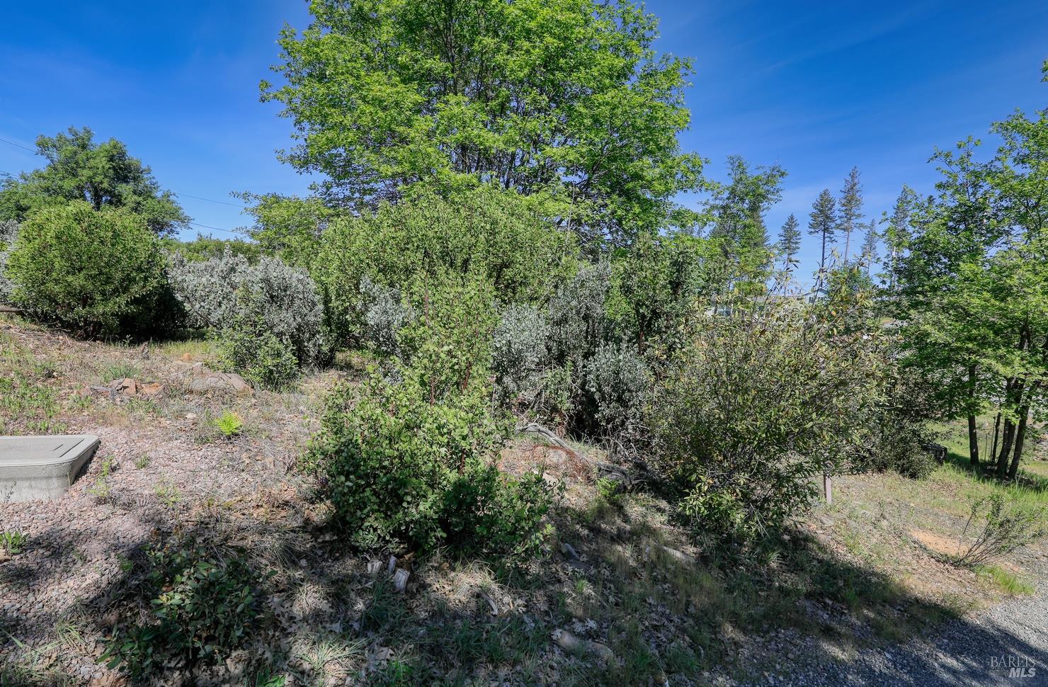 11051 Oak Street Cobb CA 95426