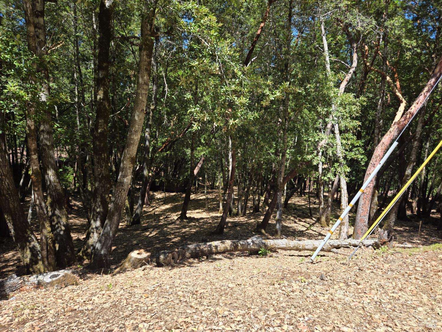 1686 Ponderosa Road Willits CA 95490