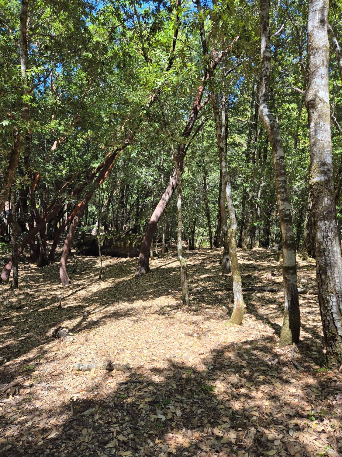 1686 Ponderosa Road Willits CA 95490