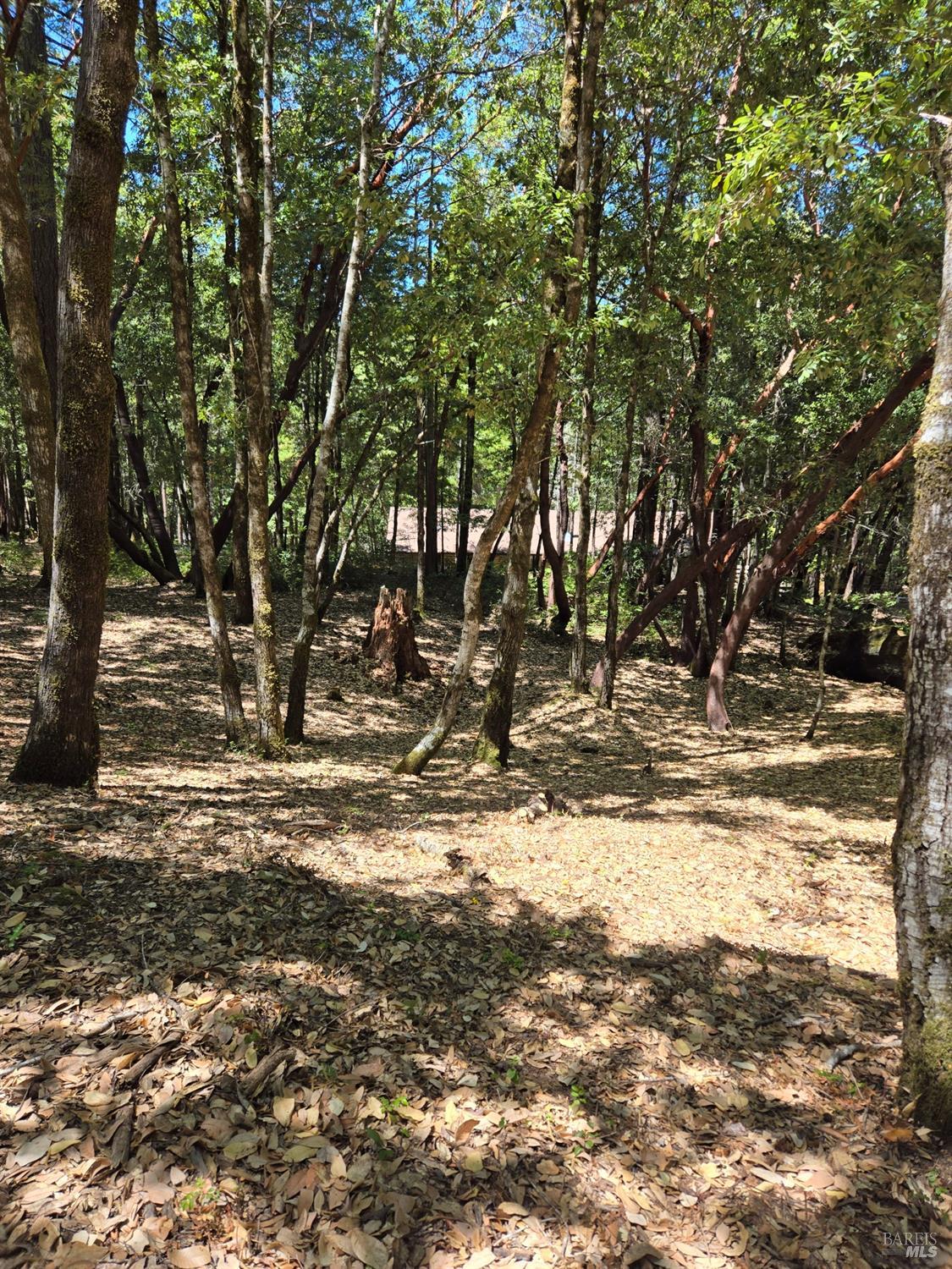 1686 Ponderosa Road Willits CA 95490