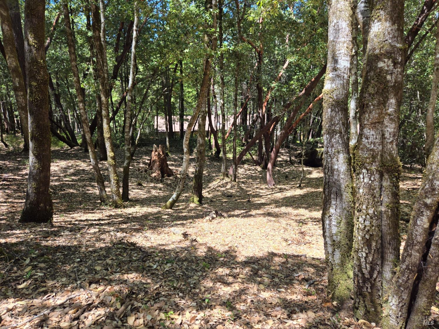 1686 Ponderosa Road Willits CA 95490