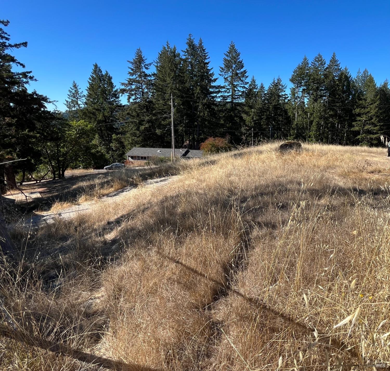 2061 Peacock Drive Willits CA 95490