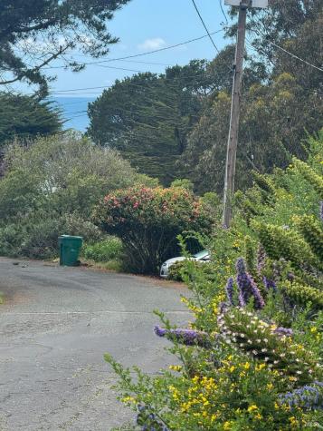 389 Ocean Parkway Bolinas CA 94924