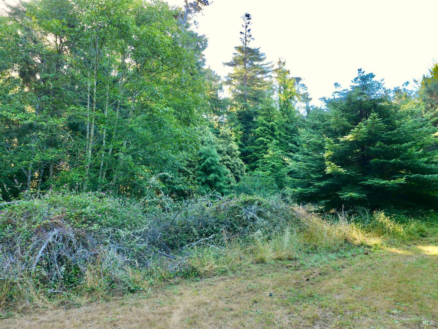 19130 Dorffi Road Fort Bragg CA 95437