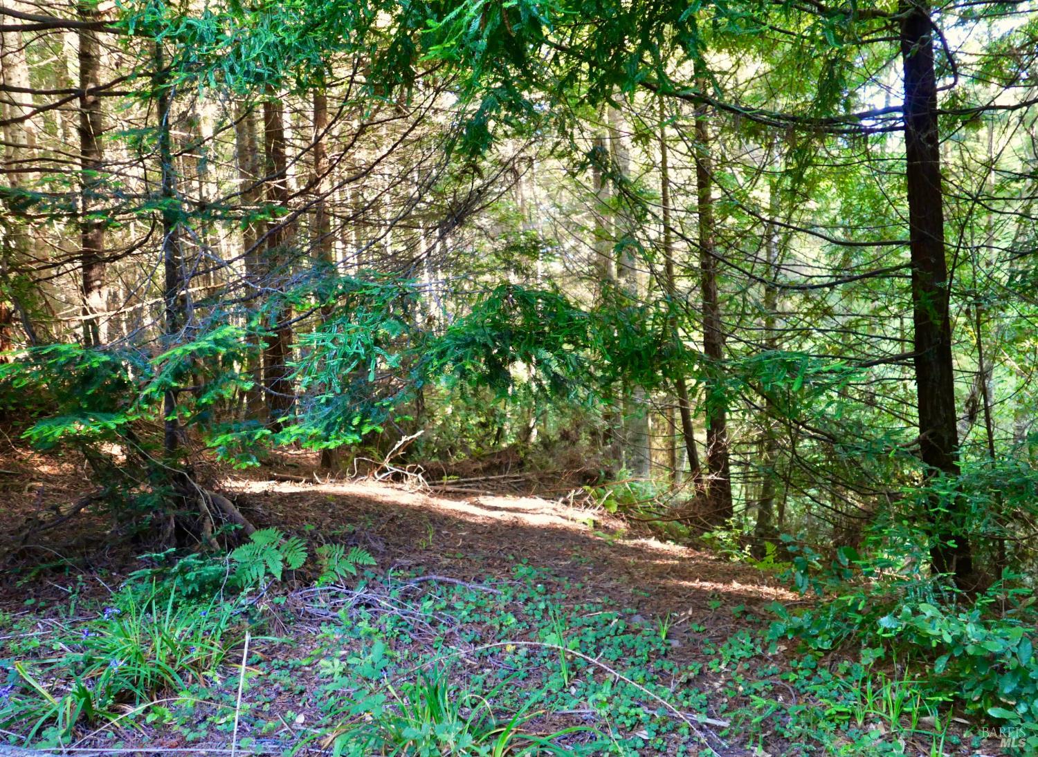 19130 Dorffi Road Fort Bragg CA 95437