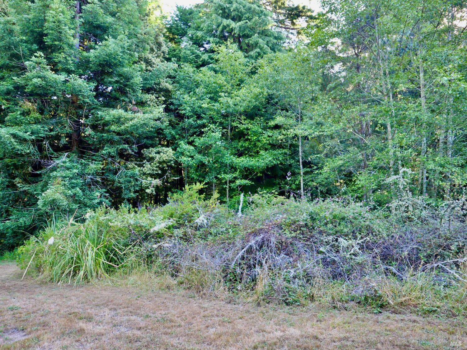 19130 Dorffi Road Fort Bragg CA 95437