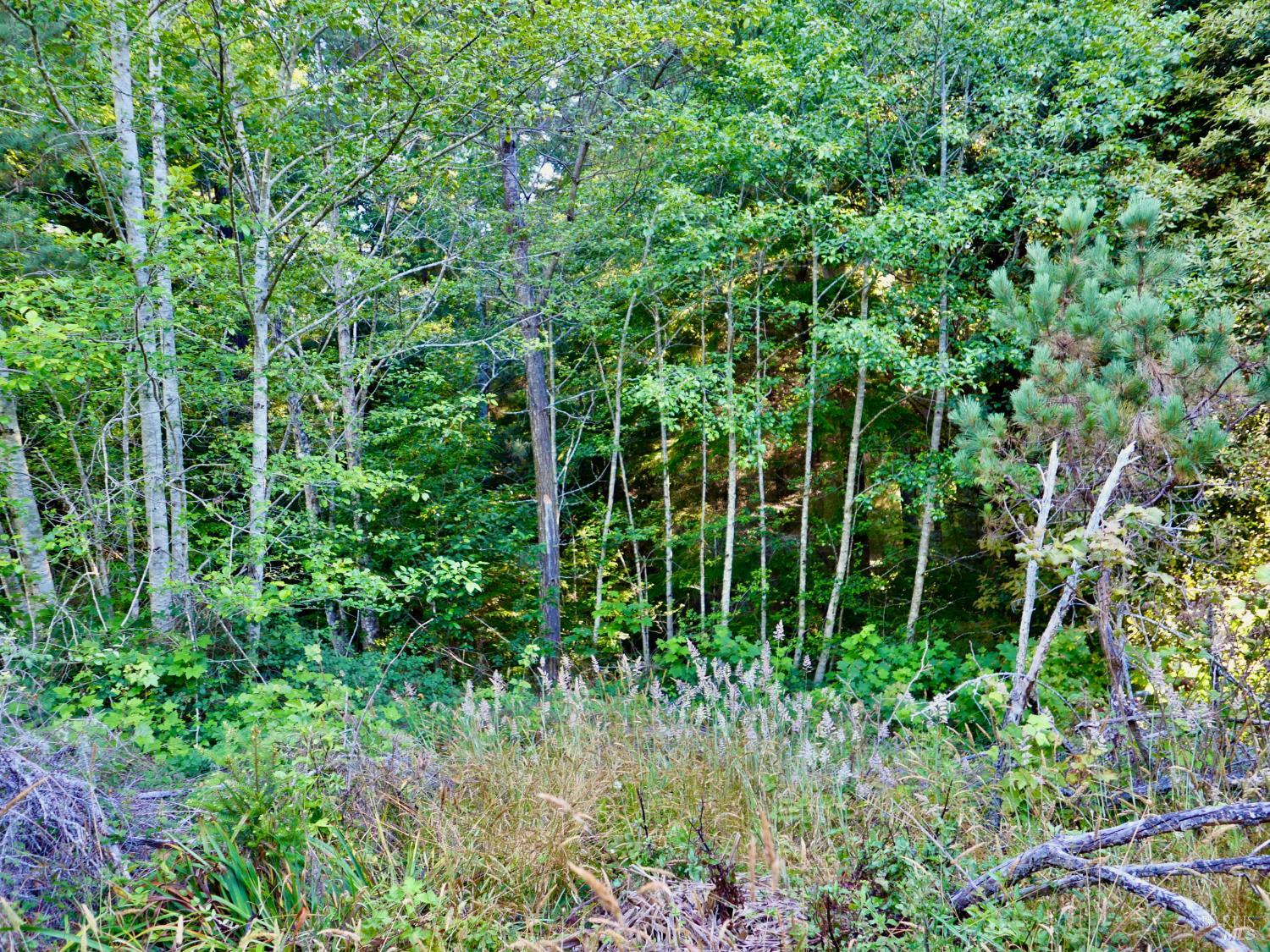 19130 Dorffi Road Fort Bragg CA 95437